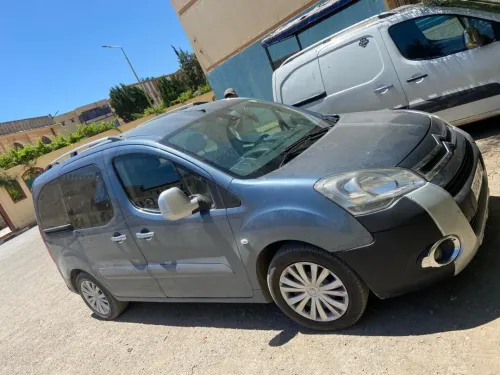 Citroen Berlingo 2009 Berlingo
