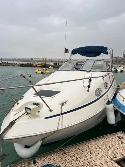 Bateau - Regal 2465 - Opportunité à saisir