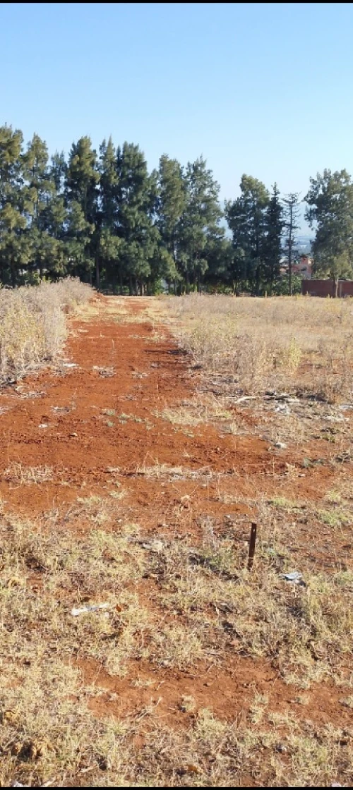 Vente Terrain Alger Douera