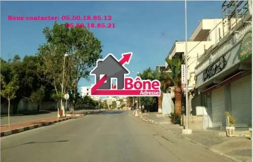 Location Appartement F2 Annaba Annaba