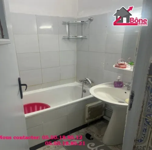 Location Appartement F3 Annaba Annaba
