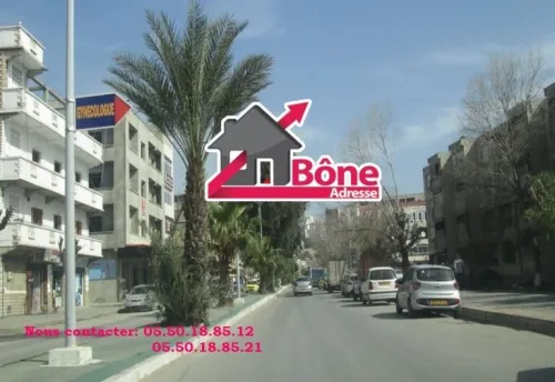 Vente Appartement F3 Annaba Annaba