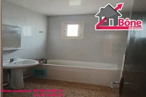 Location Appartement F3 Annaba Annaba