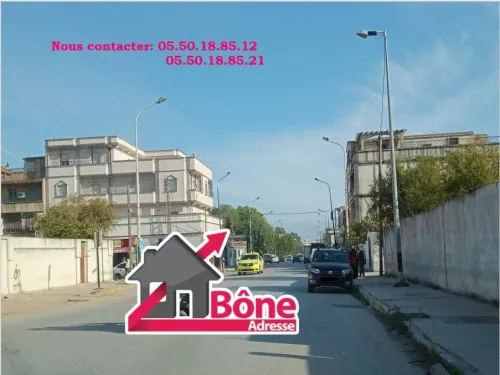 Location Local Annaba Annaba