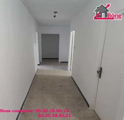 Vente Appartement F3 Annaba Annaba