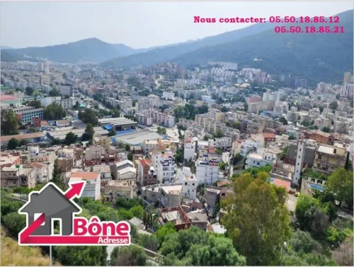 Vente Appartement F3 Annaba Annaba