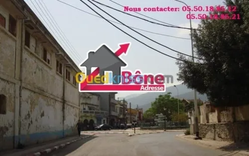Vente Appartement F5 Annaba Annaba