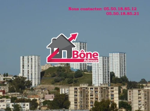 Vente Appartement F4 Annaba Annaba