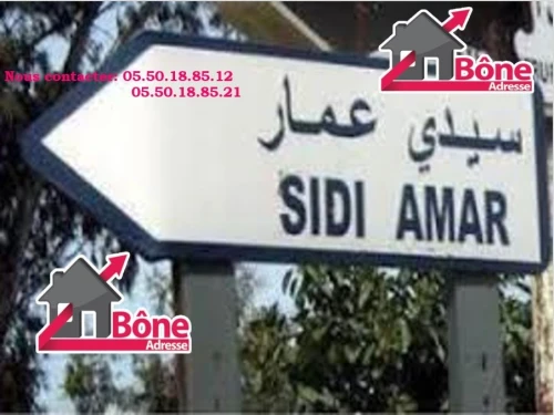 Vente Hangar - Usine Annaba Sidi amar