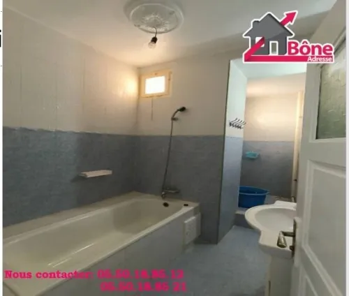 Location Appartement F4 Annaba Annaba