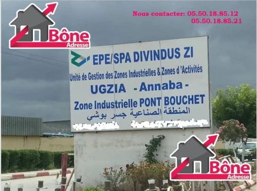 Location Hangar - Usine Annaba El hadjar