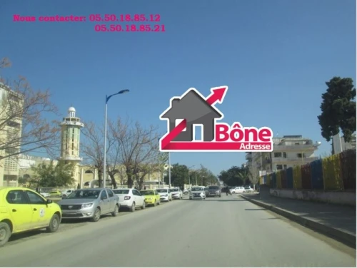 Location Local Annaba Annaba
