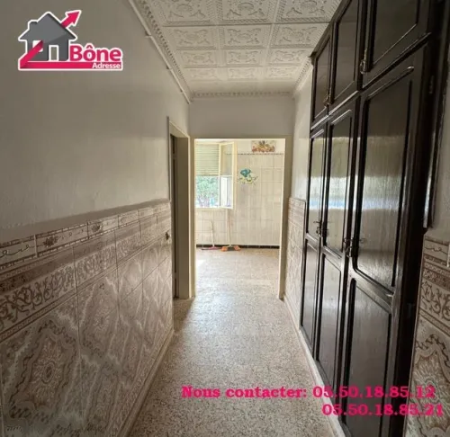 Location Appartement F3 Annaba Annaba