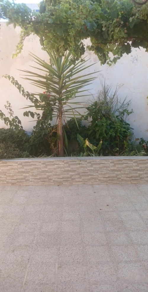 Location Villa F3 F4 Alger Hammamet