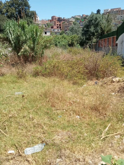 Vente Terrain Alger Draria
