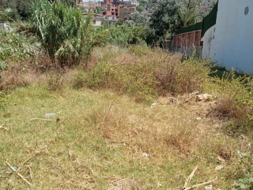 Vente Terrain Alger Draria