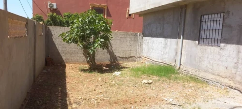 Vente Villa Tlemcen Marsa ben mhidi