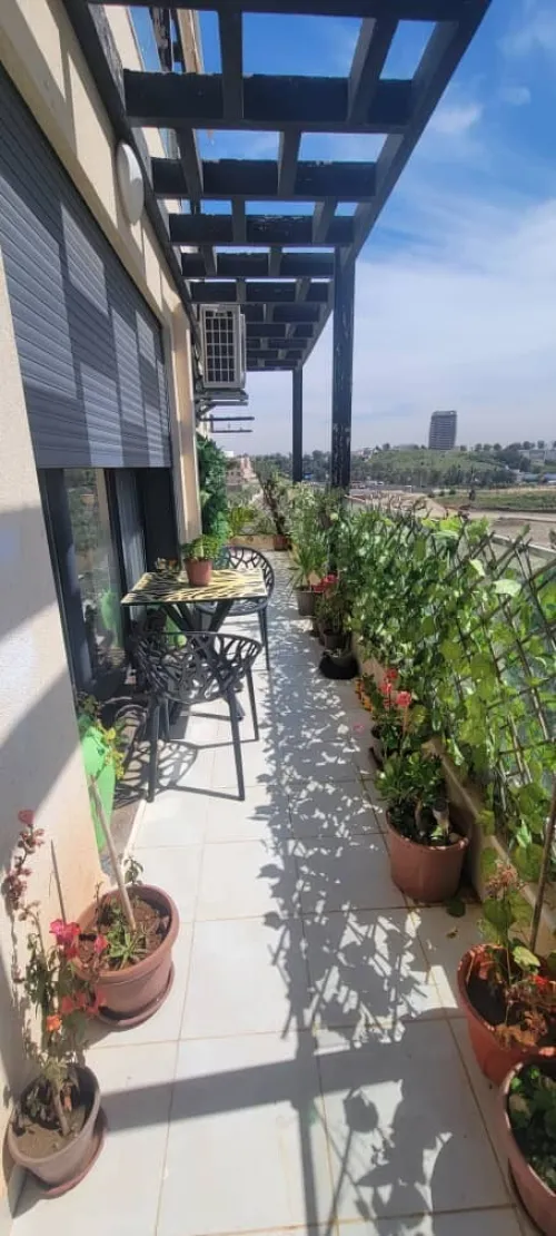 Vente Appartement F3 Alger Dely brahim
