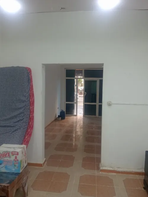 Location Local Tipaza Kolea