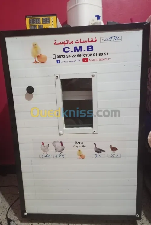 COUVEUSE فقاسة بيض