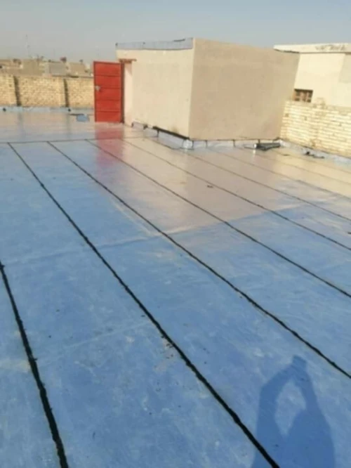 Travaux étanchéité professionnel