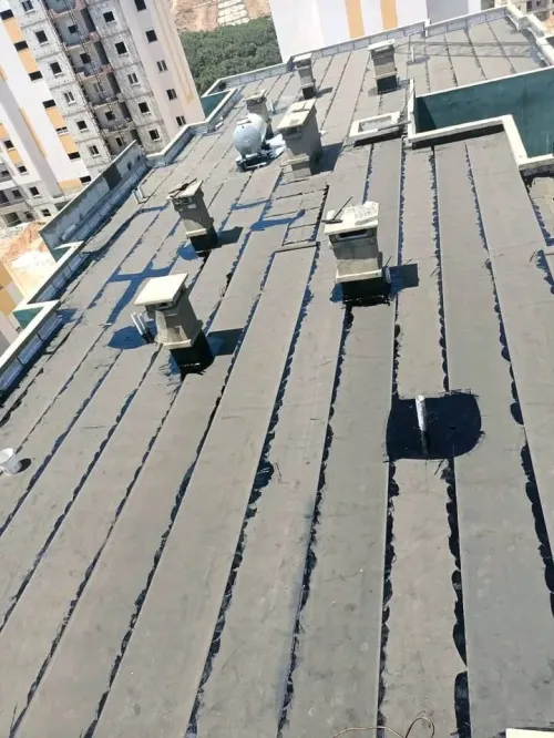 Travaux étanchéité professionnel 