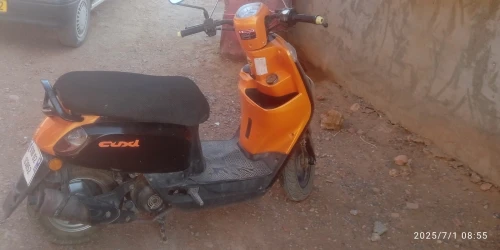 جيفاتي كوكسي 2018