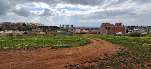 Vente Terrain Tipaza Kolea