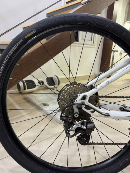 Shimano Vilo 2021