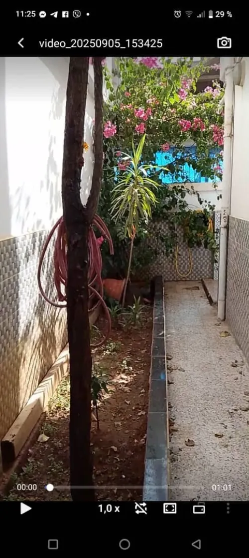 Location Appartement F2 Alger Ouled fayet