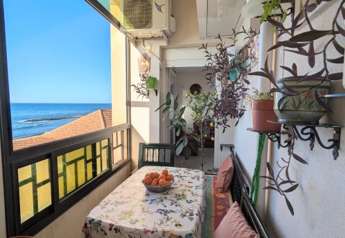 Vente Appartement F3 Tipaza Bou ismail