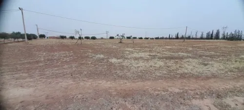 Vente Terrain Sidi Bel Abbès Badredine el mokrani