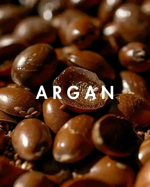 Huile d'argan