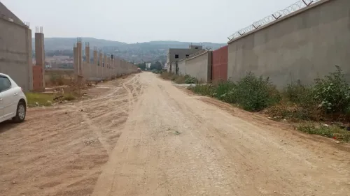Location Hangar Blida Meftah