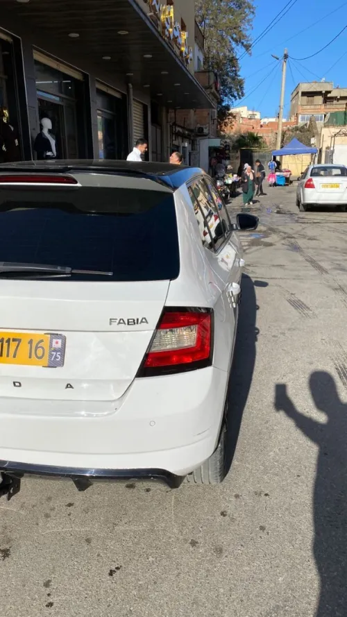 Skoda Fabia 2017 Monte Carlo