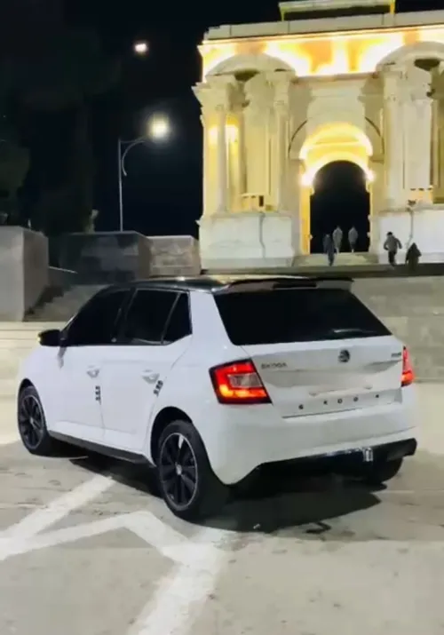 Skoda Fabia 2017 Monte Carlo