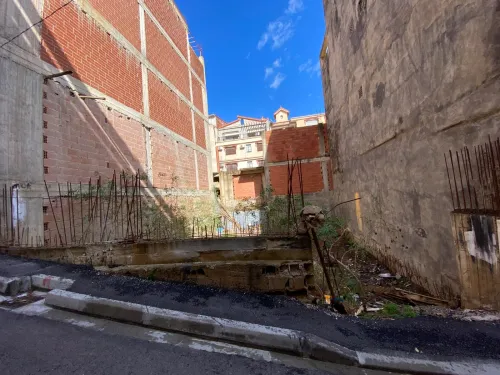 Vente Terrain Alger Said hamdine