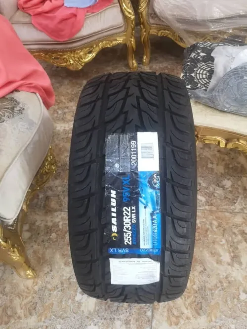 PNEU 255/30R22 XL 95V