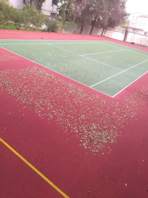 Revêtement terrain de sport et salle en sols sportifs gomme synthétique acrylique epdm tapis 
