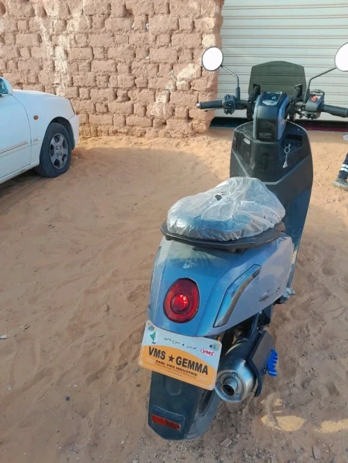 Vms Gemma 2 2025