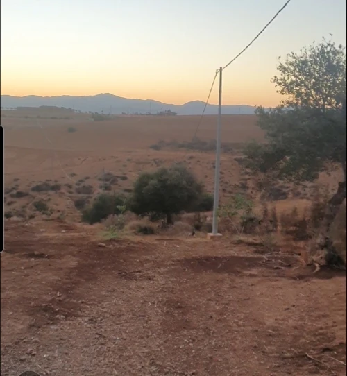 Vente Terrain Agricole Aïn Témouchent Sidi boumedienne