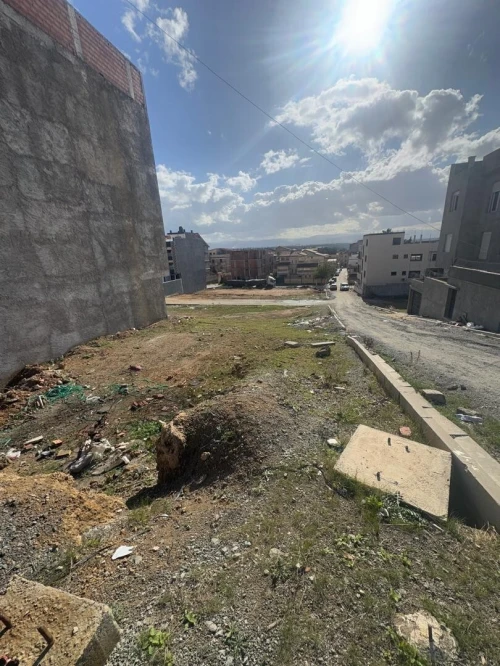 Vente Terrain Alger Reghaia