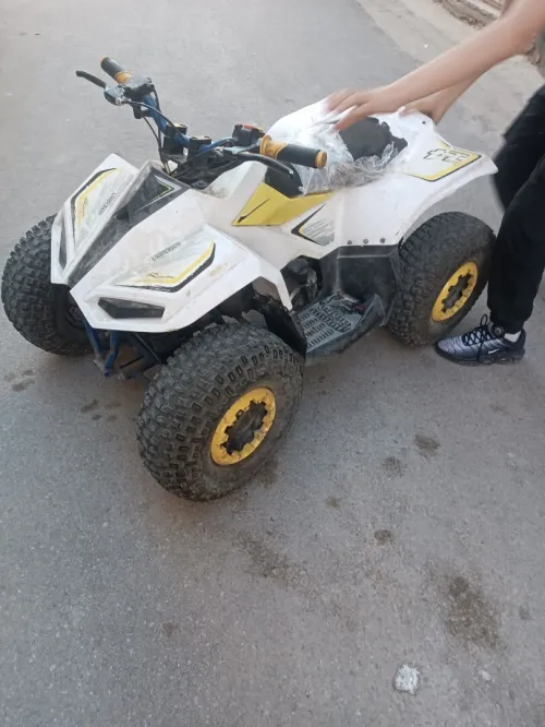 Quads . 2012