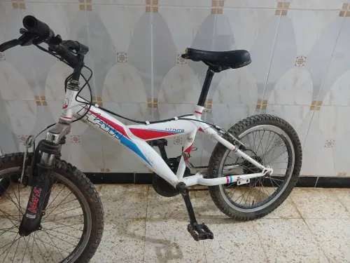 حاسي بونيف
