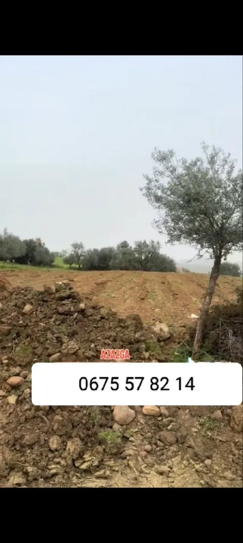 Vente Terrain Tizi Ouzou Azazga