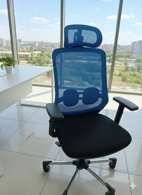 Chaises de bureau Confort & élégance professionnelle