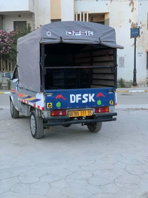 DFSK Mini Truck 2011 SC 2m50