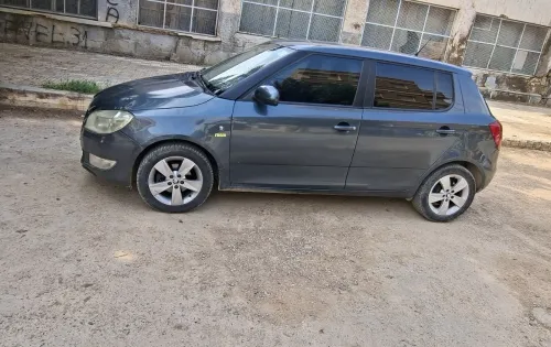 Skoda Fabia 2014 Fresh