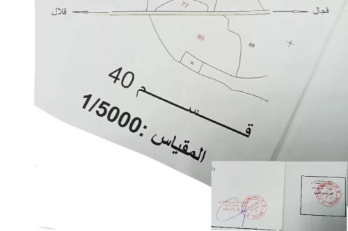 Vente Terrain Agricole Sétif Guidjel