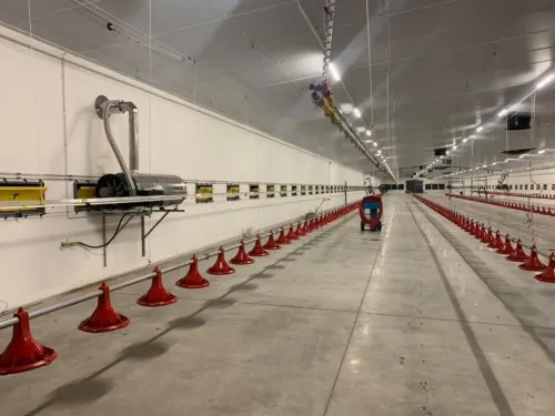 Conception d'une installation avicole clé en main et sur mesure